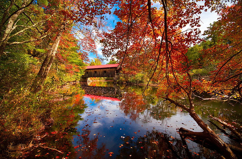 Covered bridge in autumn, fall, colorful, autumn, covered, bonito, foliage, bridge, reflection, forest, colors, park, trees, lake, pond, tranquil, serenity, branches, HD wallpaper