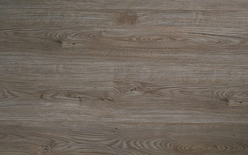 Gray wood texture, wood gray background, wood floor texture, oak plank texture, HD wallpaper