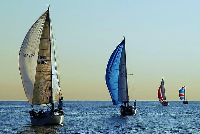 Convoy, clear sky, blue water, ocean, sails, sailboats, HD wallpaper