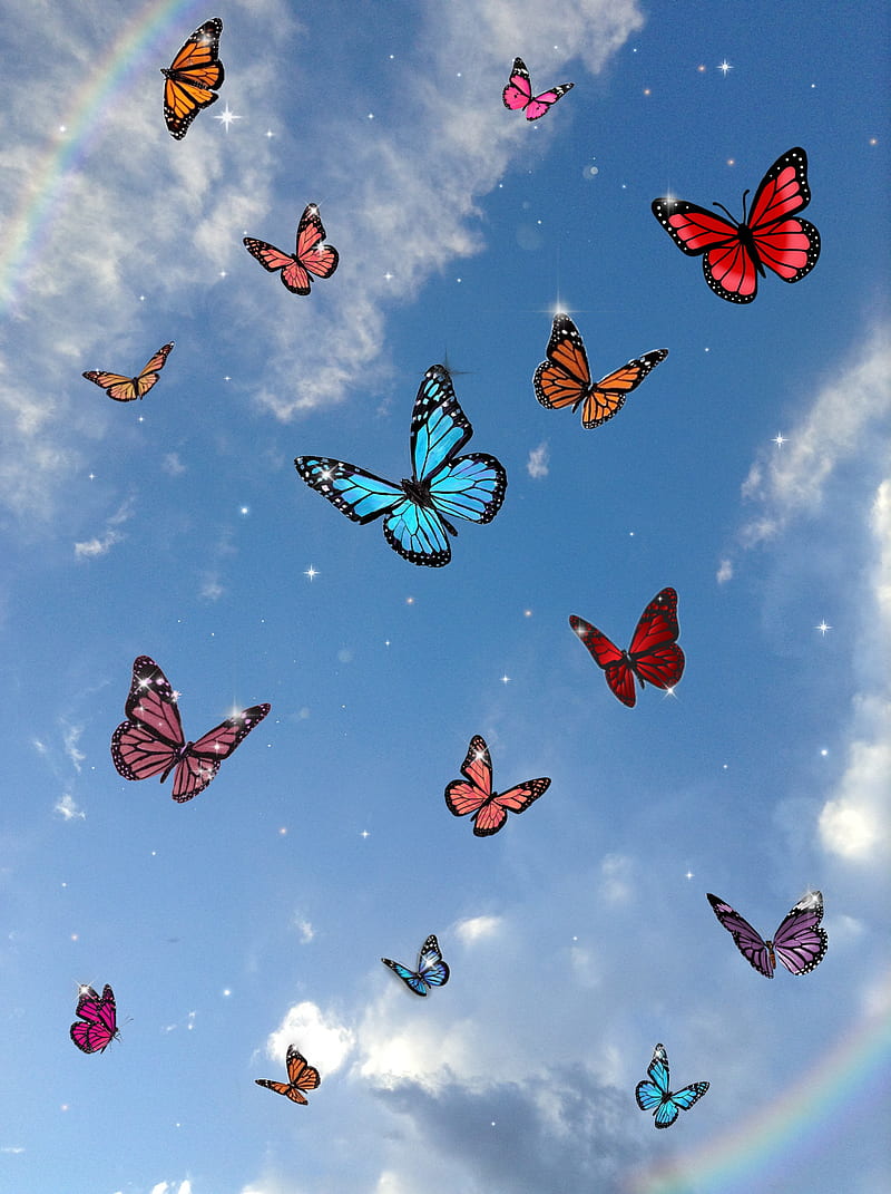 Ulysses, wings, butterfly, black, beauty, green leaves, blue, HD wallpaper  | Peakpx