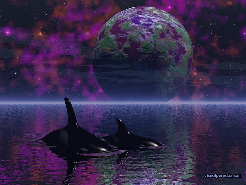 Killer Whales Whales Art Fantasy Ocean Digital Bonito Earth Abstract Hd Wallpaper Peakpx