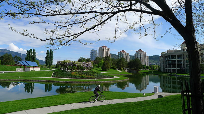 Waterfront Park Scene, pond, Spring, bike, reflection, lake, HD wallpaper