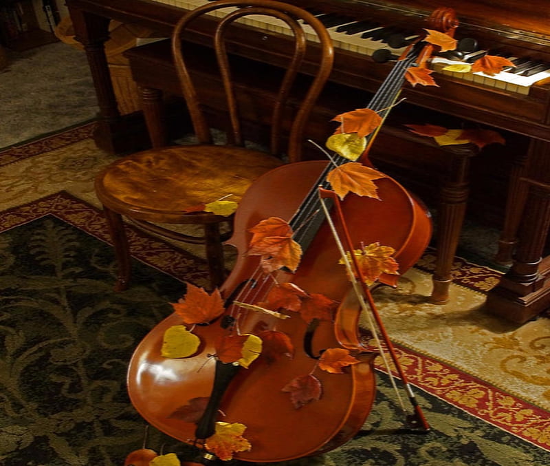 Autumn Cello, Abstract, graphy, Autumn, Cello, HD wallpaper