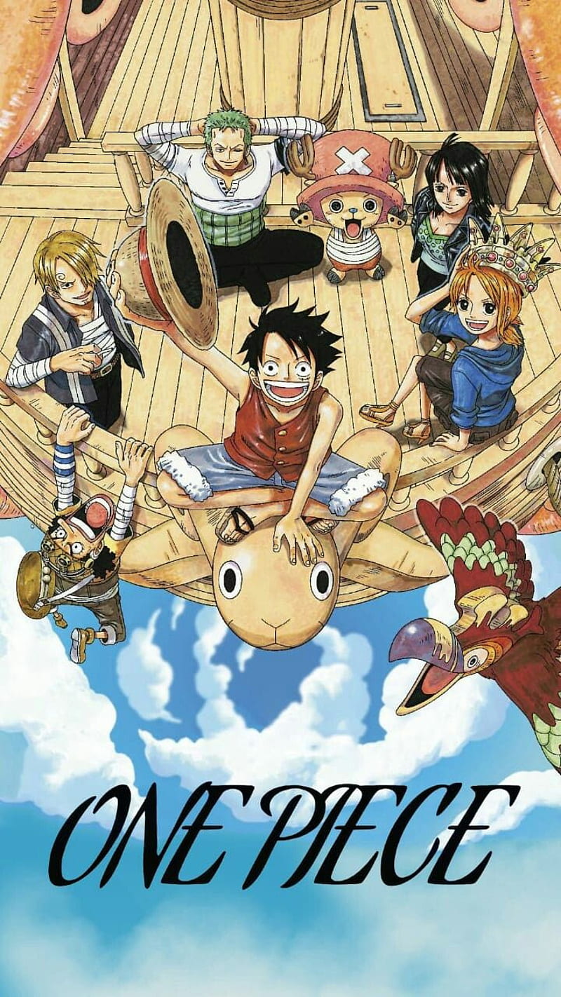 One Piece, Sanji, Anime, Luffy, Ussop, Zoro, Nami, Chopper, Robin, Manga, HD phone wallpaper