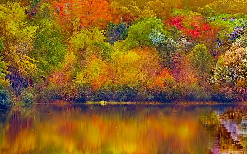 Nature, Lake, Reflection, Forest, Fall, , Colorful, HD wallpaper | Peakpx
