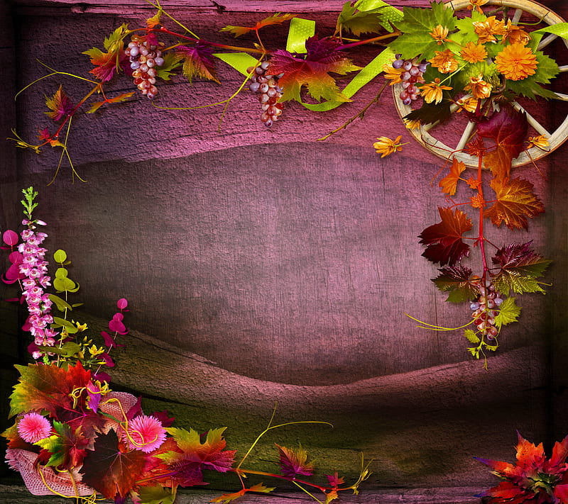 Autumn Flowers, autumn florals, background, flowers frame, HD wallpaper