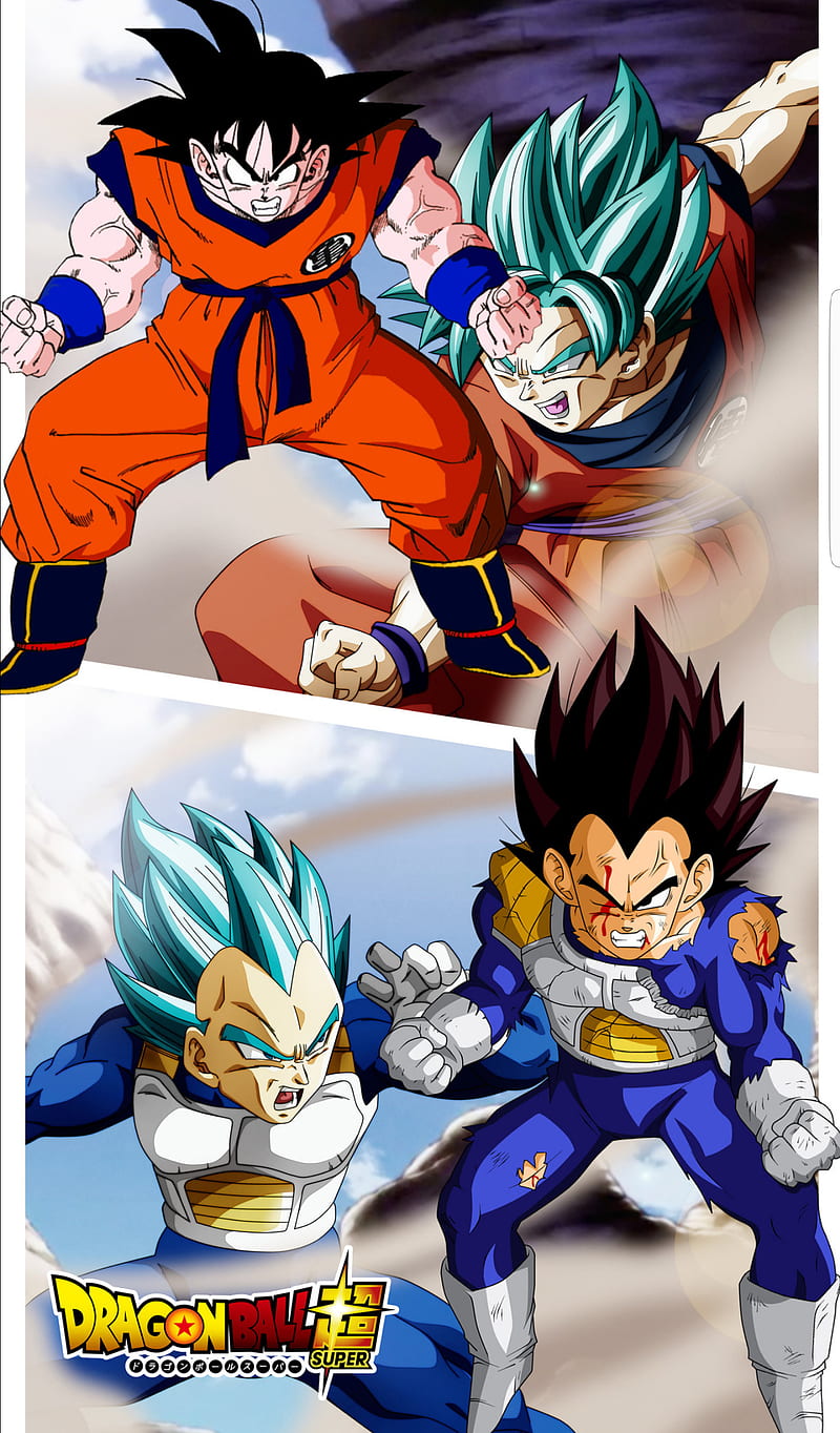 Goku & Vegeta, Dragon Ball Super  Anime dragon ball super, Anime