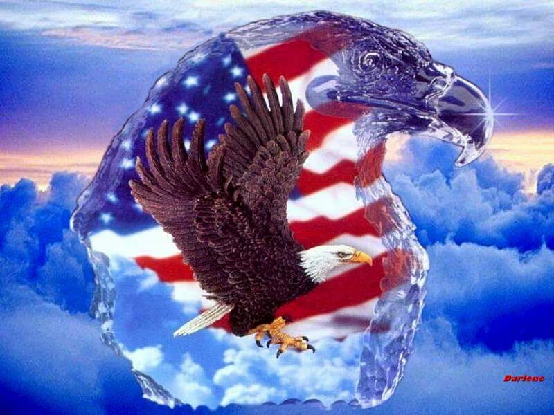 American eagle, eagles, flag, HD phone wallpaper