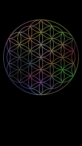 Flower of life, colourful, patterns, rainbow, sacred geometry, space,  universe, HD phone wallpaper | Peakpx