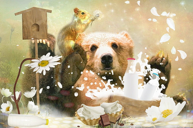 Bear and the Milk, cookie, flower, bear, milk, animal, HD wallpaper