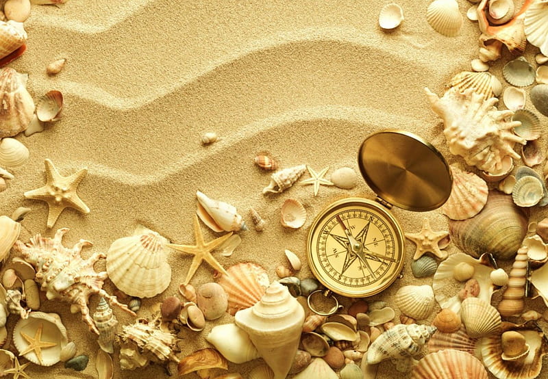 Compass on the sand, pretty, sand, starfishes, beauty, nature, bonito, shells, compass, HD wallpaper