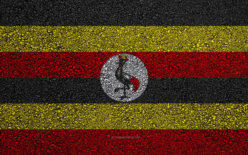 Flag of Uganda, asphalt texture, flag on asphalt, Uganda flag, Africa, Uganda, flags of African countries, HD wallpaper