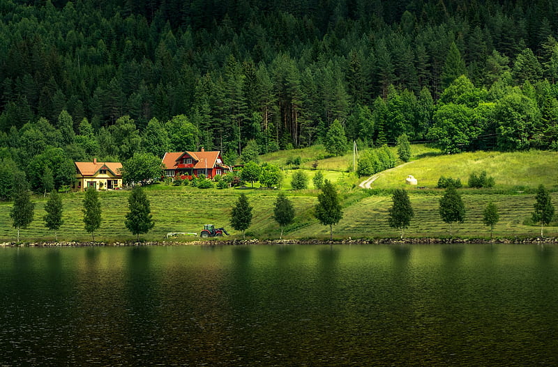 Beautiful Lake And Green Trees, HD wallpaper