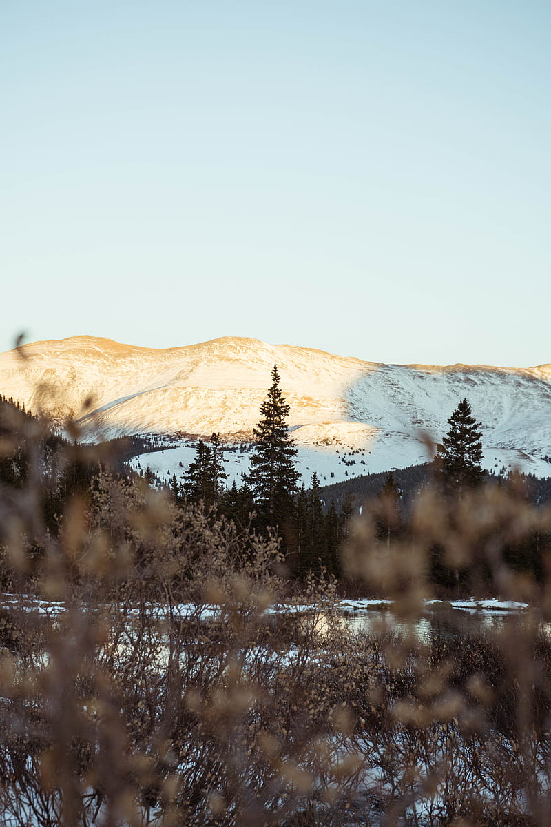 mountains, hills, trees, bushes, landscape, HD phone wallpaper