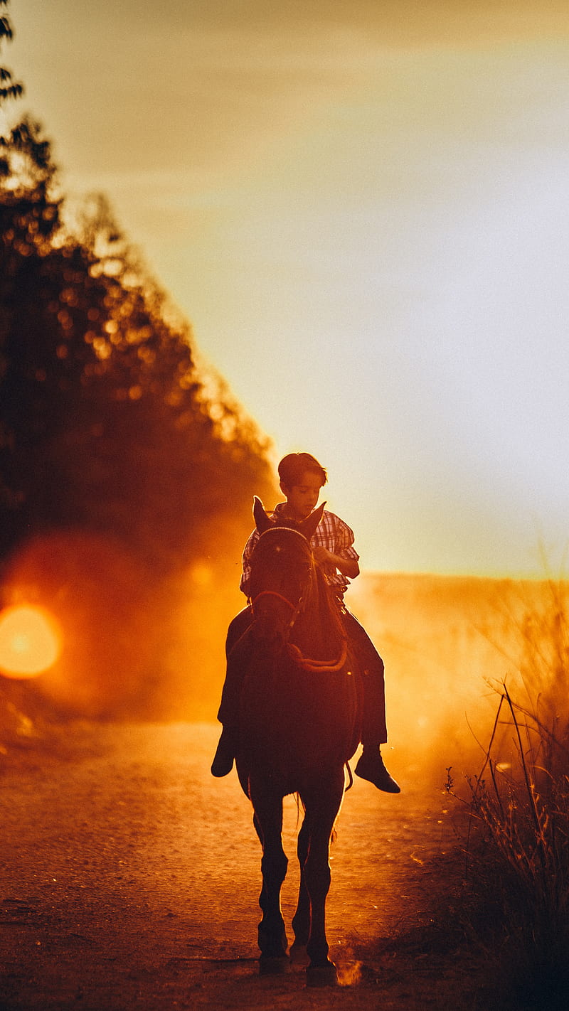 Horse riding during sunset , horse riding, nature, sunlight, HD phone wallpaper