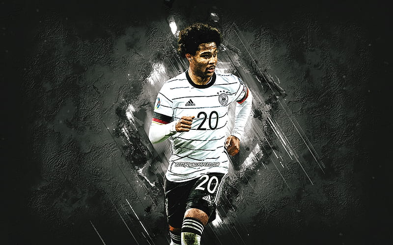 Serge Gnabry, Germany national football team, German football player,  midfielder, HD wallpaper | Peakpx