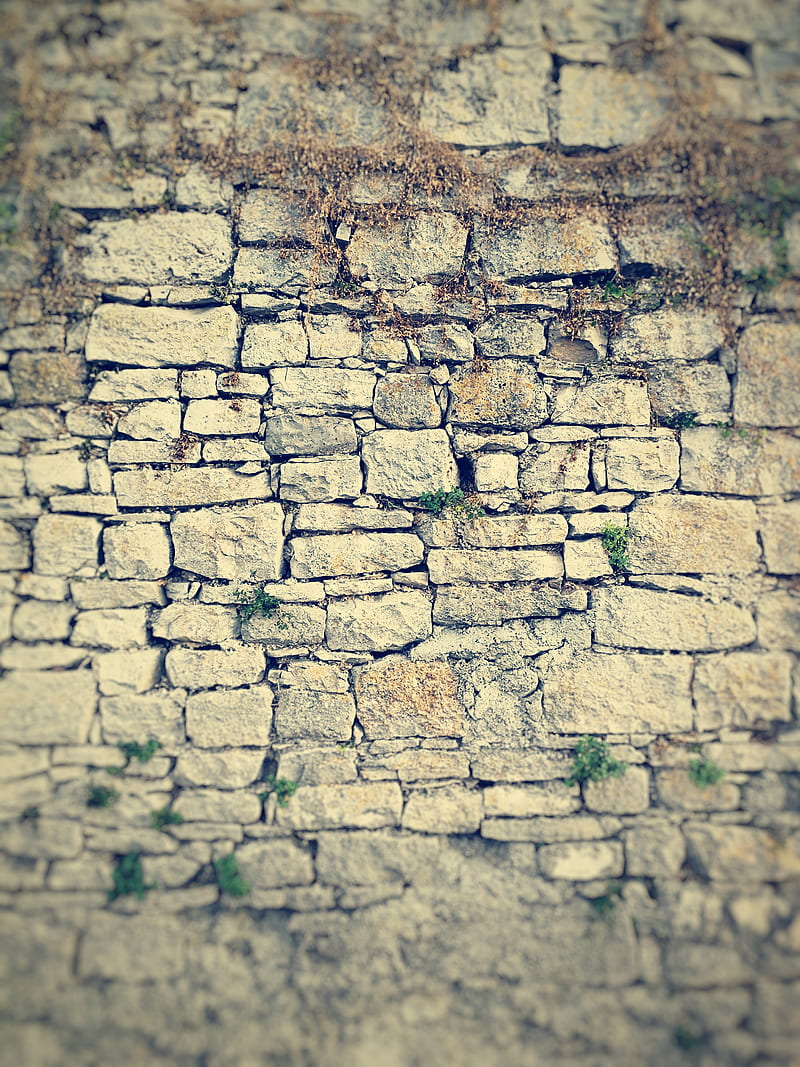 Wall from rocks 1, brick, bricks, sea wall, texture, wall from rocks, walls, HD phone wallpaper