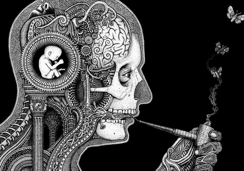 The Mind, fetus, moths, workings, baby, spine, pipe, muscles, skull, mind, HD wallpaper
