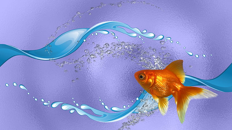 Goldfish, Mood, Purple, Fish, Sea, HD wallpaper | Peakpx