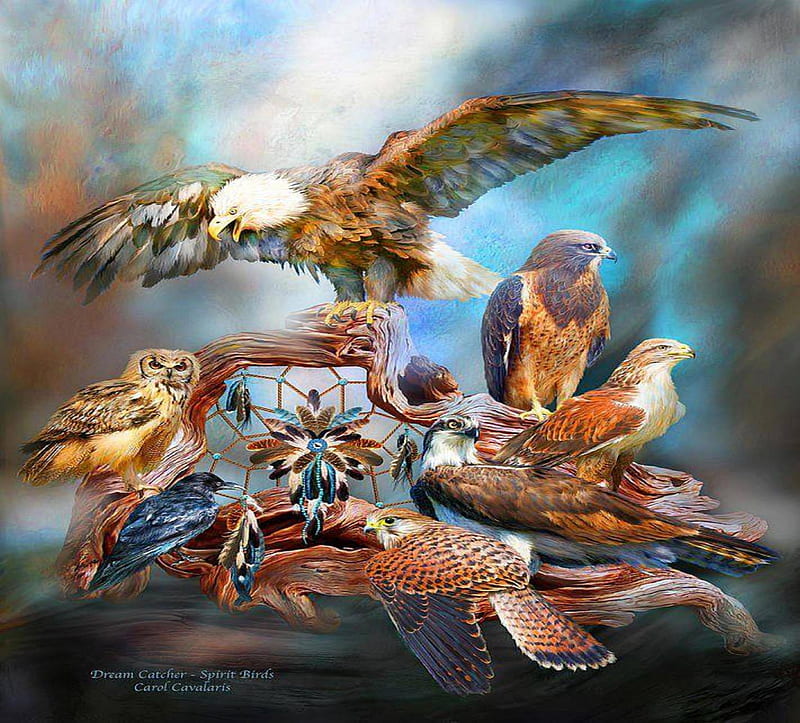 spirit birds, falcons, owl, eagles, birds, hawk, HD wallpaper