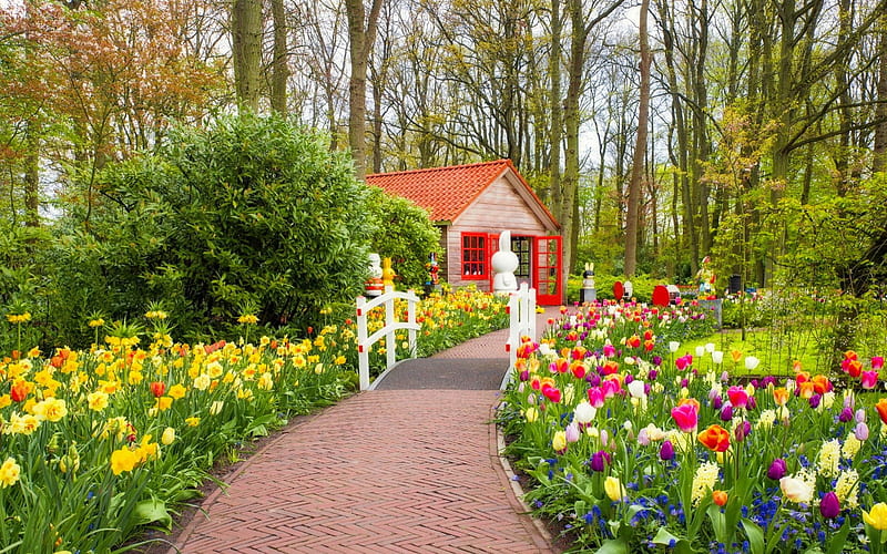 Beautiful dutch garden in spring, hottage, dutch, park, Amsterdam, spring, bonito, path, garden, flowers, tulips, walk, HD wallpaper