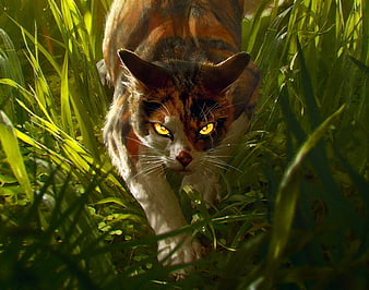 Cat Warriors Tigerstar Ivypool ThunderClan PNG 1024x638px Cat Animal  Art Bumblestripe Carnivoran Download Free