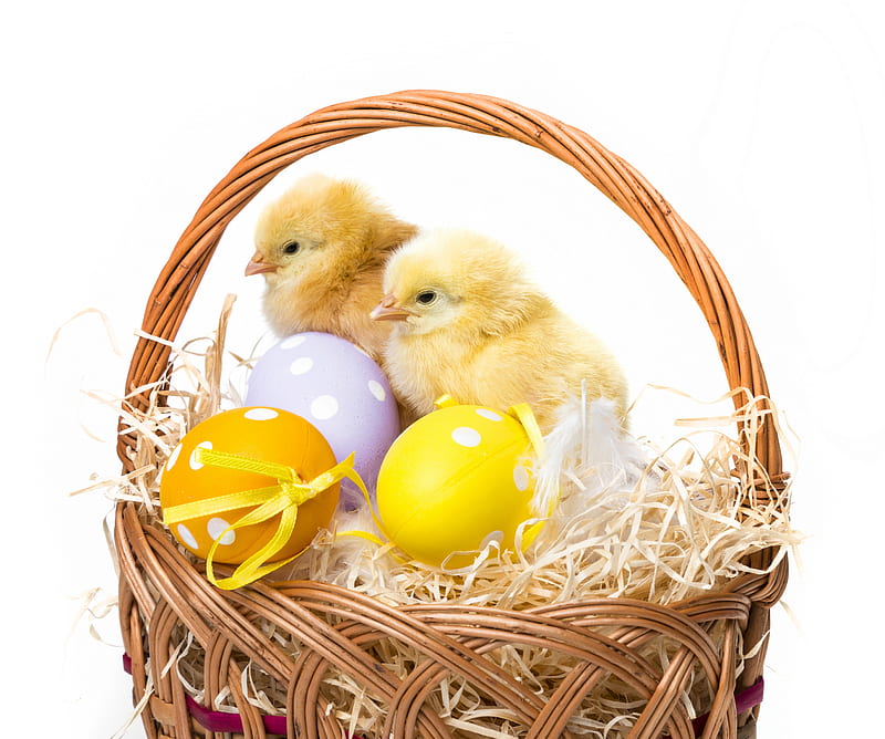 Easter basket, Easter, holidays, basket, celebration, eggs, chickens, event, HD wallpaper
