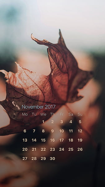 Pink Moon November c, calendar, november, nov, cal, HD phone wallpaper ...