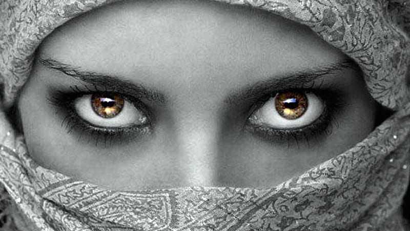 concealed beauty, special, veiled, concealed, bonito, woman, graphy, beauty, hop, eyes, HD wallpaper