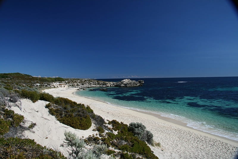 Ricey Beach, clear, ocean, surf, waves, sea, sand, water, green, dunes, australia, vegetation, white, HD wallpaper
