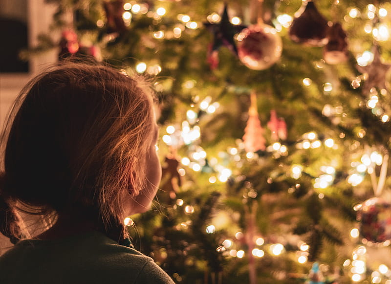 girl standing beside Christmas tree, HD wallpaper