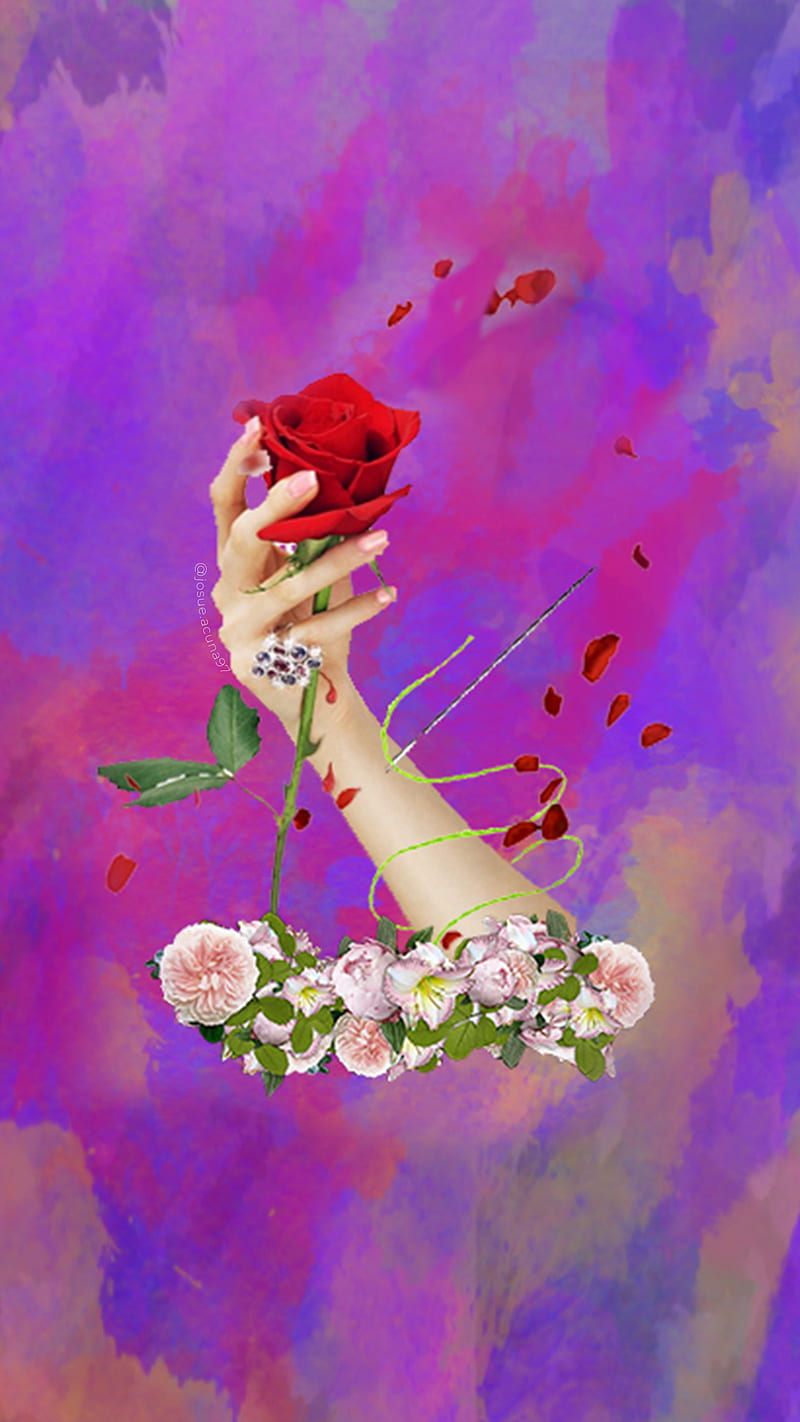 Hilo conductor, collage, flowers, flowers, nicaragua, poesia, poetry, rose, rose, HD phone wallpaper