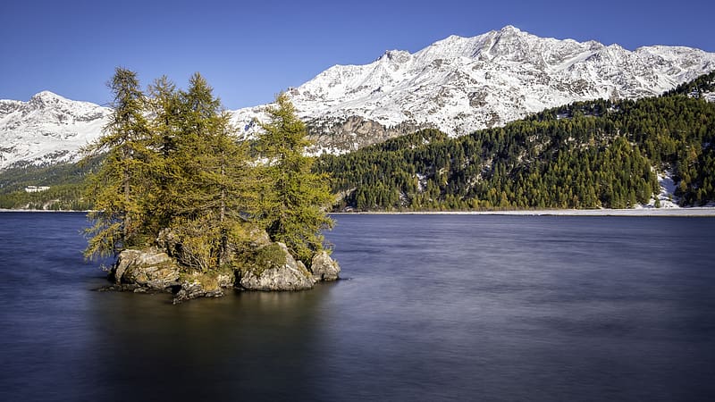 Lake Sils, Upper Engadin, Switzerland, landscape, trees, mountains, water, rocks, HD wallpaper