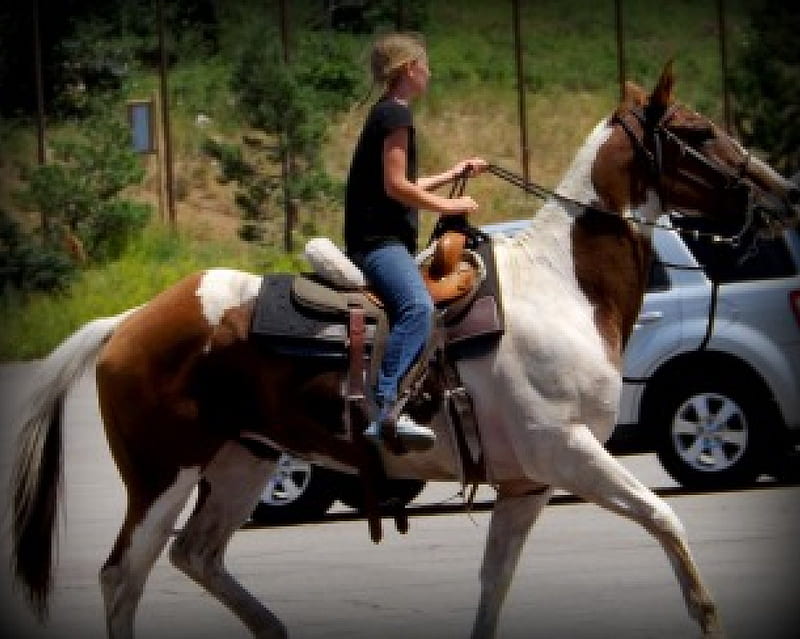 Country Girl On Horseback, trees, horse, country girl, car, HD wallpaper