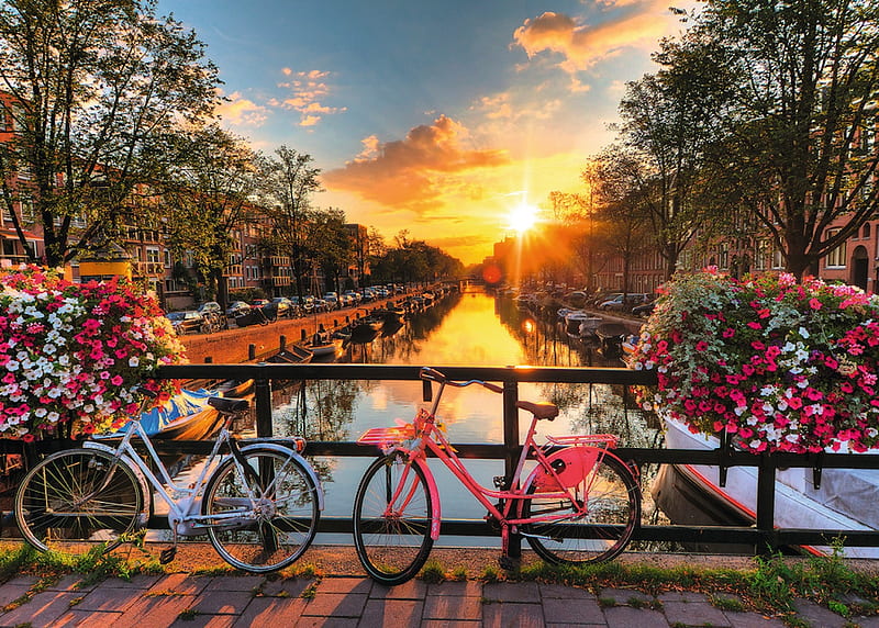 Amsterdam Sunset water, amsterdam, canal, flowers, sunset, bicycles, HD wallpaper