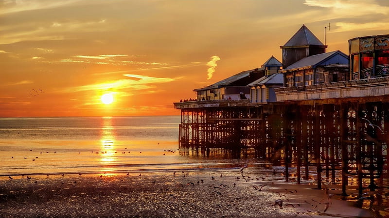 The Pier of Blackpool, England, beach, sun, water, sunset, sky, sea, HD wallpaper