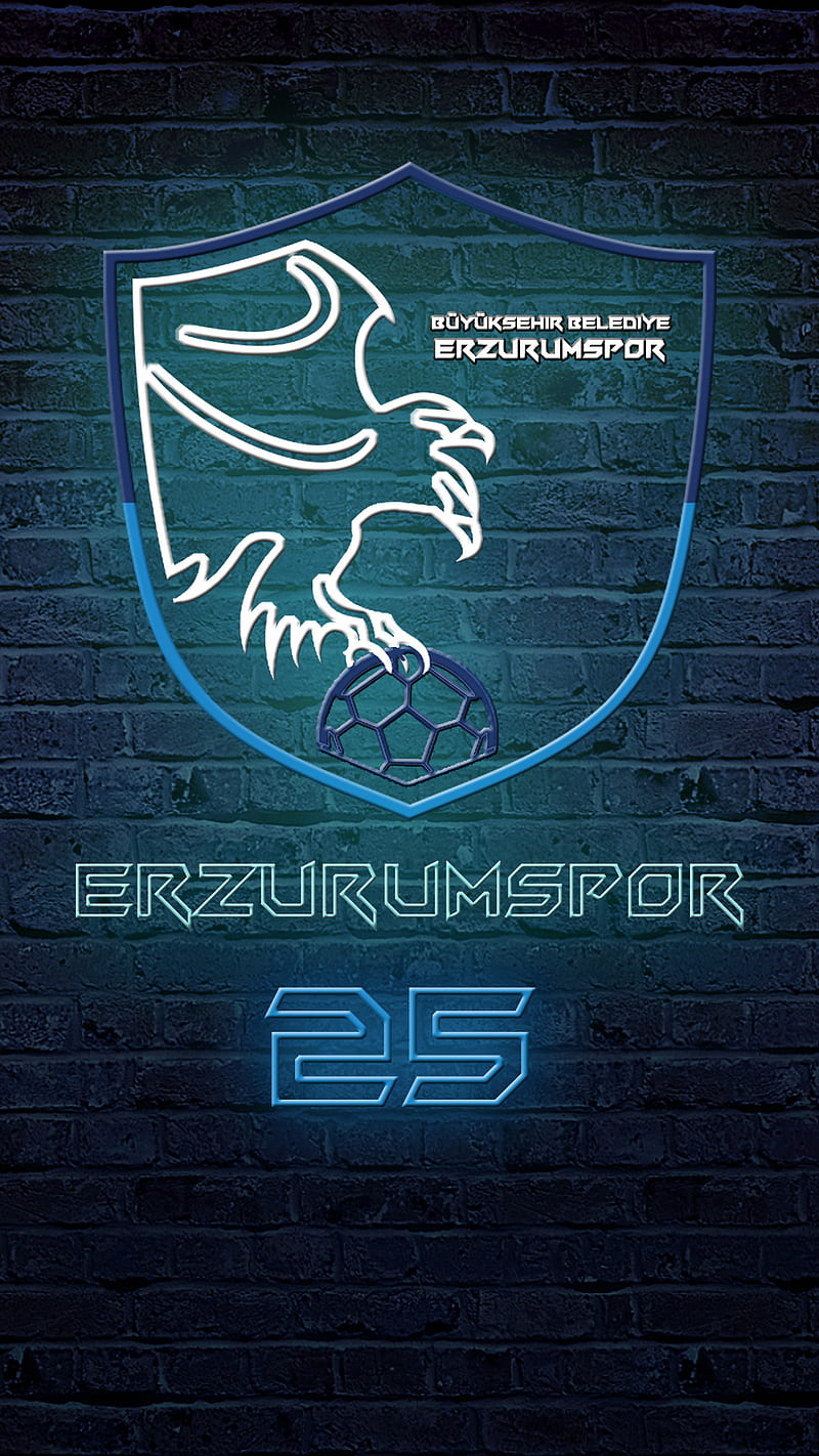 erzurum erzurumspor, HD phone wallpaper