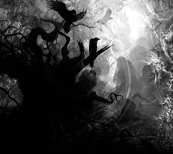 Dark Forest, fantasy, lonely, raven, HD wallpaper | Peakpx