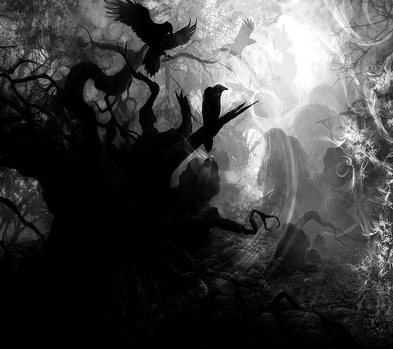 Dark Forest, fantasy, lonely, raven, HD wallpaper