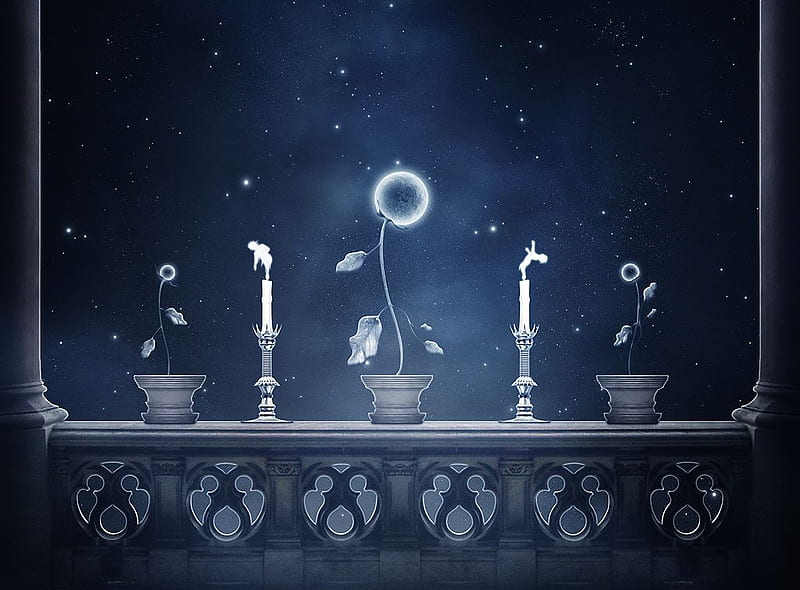 Moonflowers , art, candle holders, black, abstract, candles, fantasy, moon, flower pots, flowers, white, blue, HD wallpaper