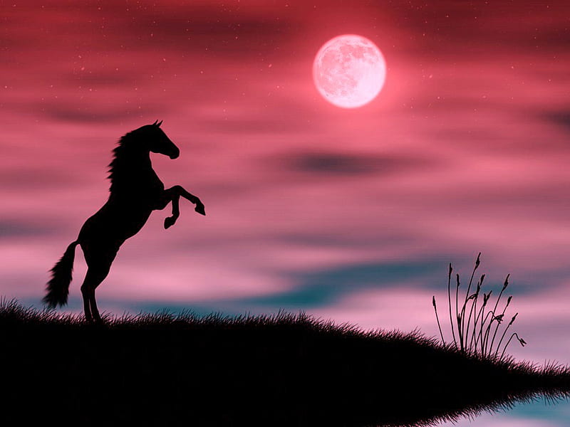 Moon stallion, sky silhouette, moon, horse, rearing, HD wallpaper