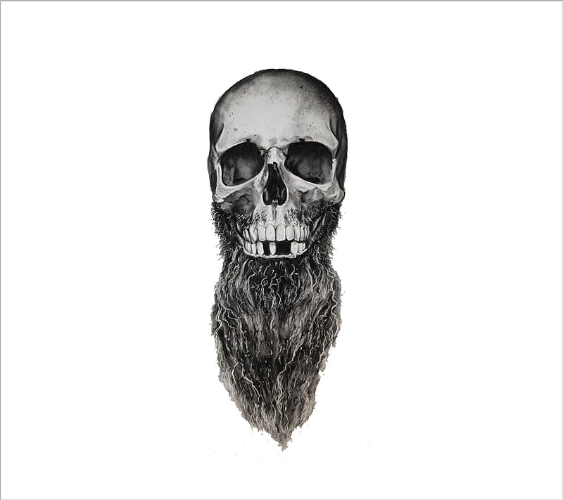 bear, barbe, beard, crane, hipster, live, skull, HD wallpaper