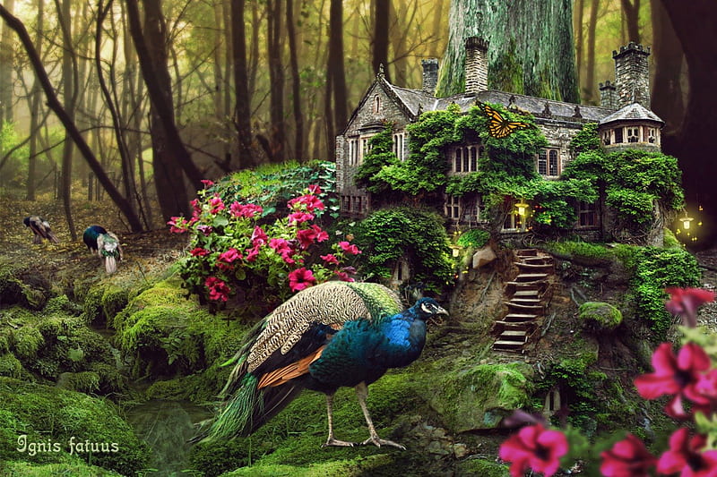 Fairytale Forest House, peacock, birds, forest, fantasy, HD wallpaper