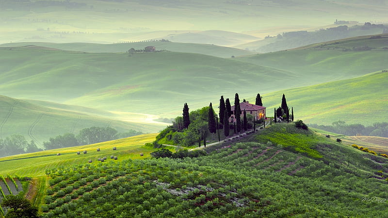 Italian WineCountry, house, Italy, wine, home, grapes, hay bales, green, fields, winery, Firefox Persona theme, HD wallpaper