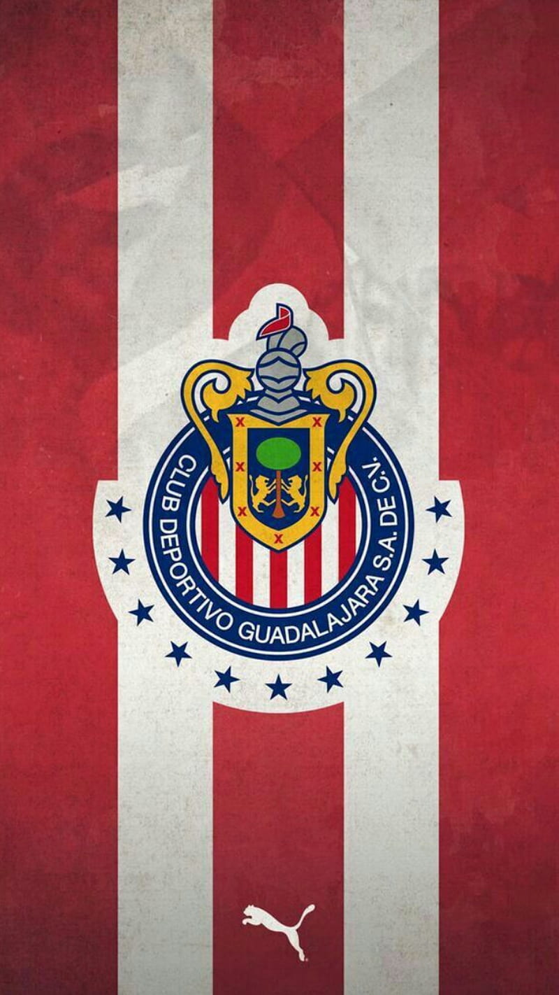 Chivas liga mx, club, futbol, Fondo de pantalla de teléfono HD | Peakpx