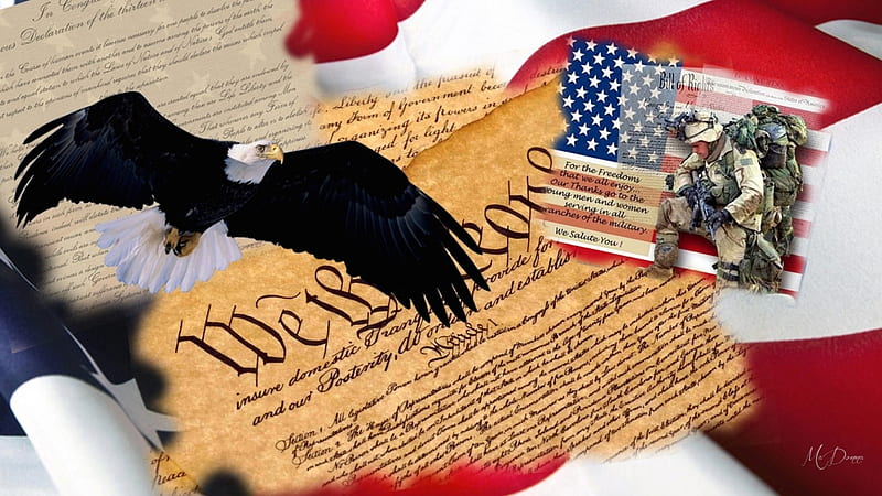 We The People, USA, soldier, Memorial Day, eagle, dom, America, Veterans Day, prayer, warrior, 4th of July, declaration of independence, constitution, patriot, HD wallpaper