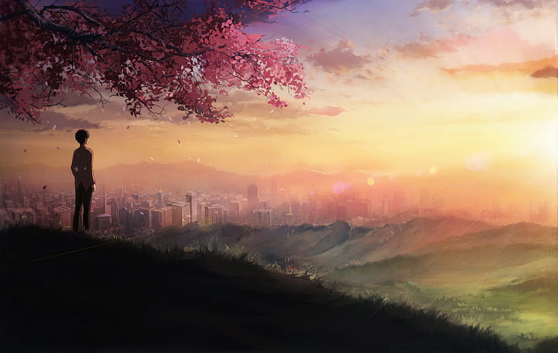 Peaceful Sunset, makoto shinkai, sun, scenic, sunset, short hair, tree,  city, HD wallpaper | Peakpx