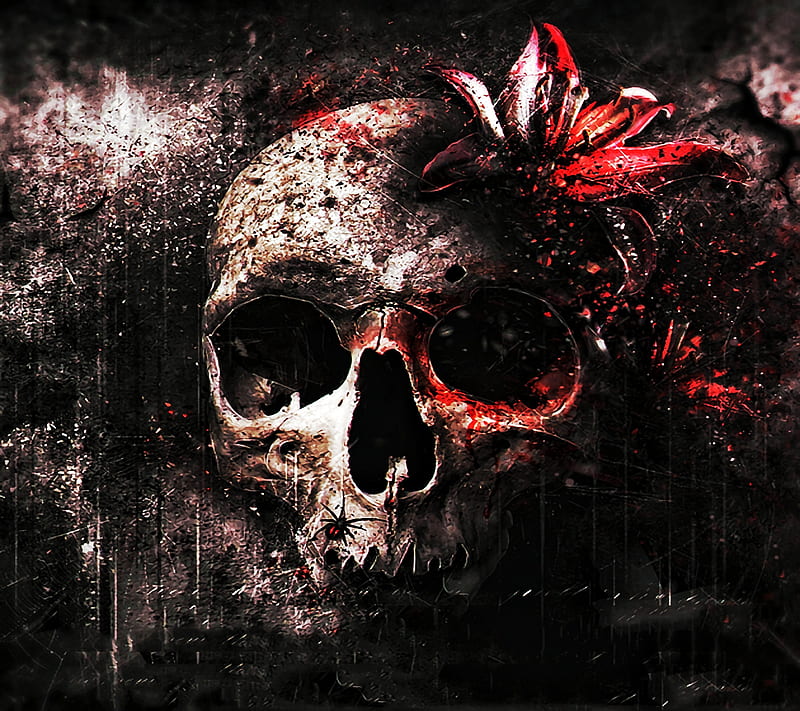 Skull, blur, dslr, ghost, horror, scary, snapseed, zombie, HD wallpaper |  Peakpx