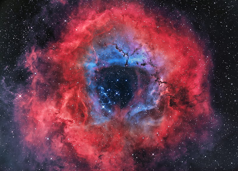 Beautiful Galaxy # The Rosette Nebula #, red, stars, rosette, nebula, bonito, galaxy, blue, HD wallpaper