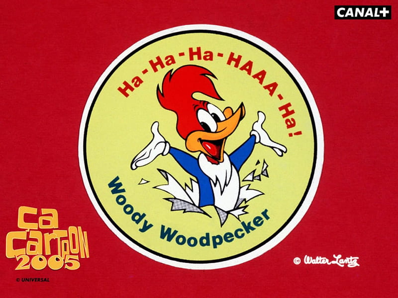 Woody Woodpecker, Woody, bird, Cartoon, Woodpecker, HD wallpaper